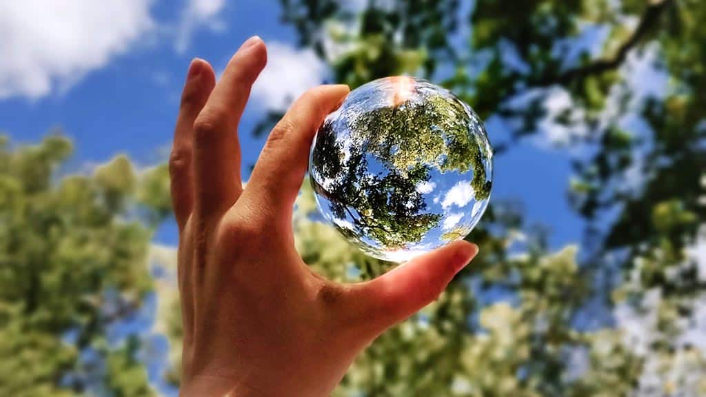 Photo montrant une main tenant un petit globe en verre dans lequel on voit par transparence un arbre et le ciel